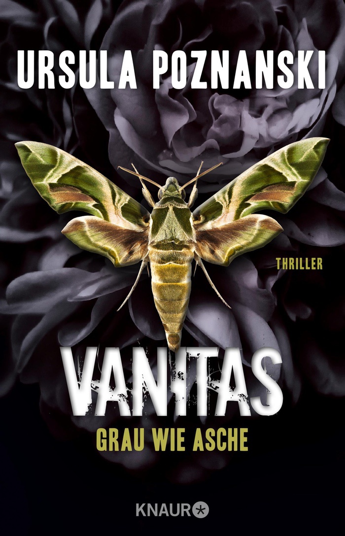 Ursula Poznanski: Vanitas – Grau wie Asche